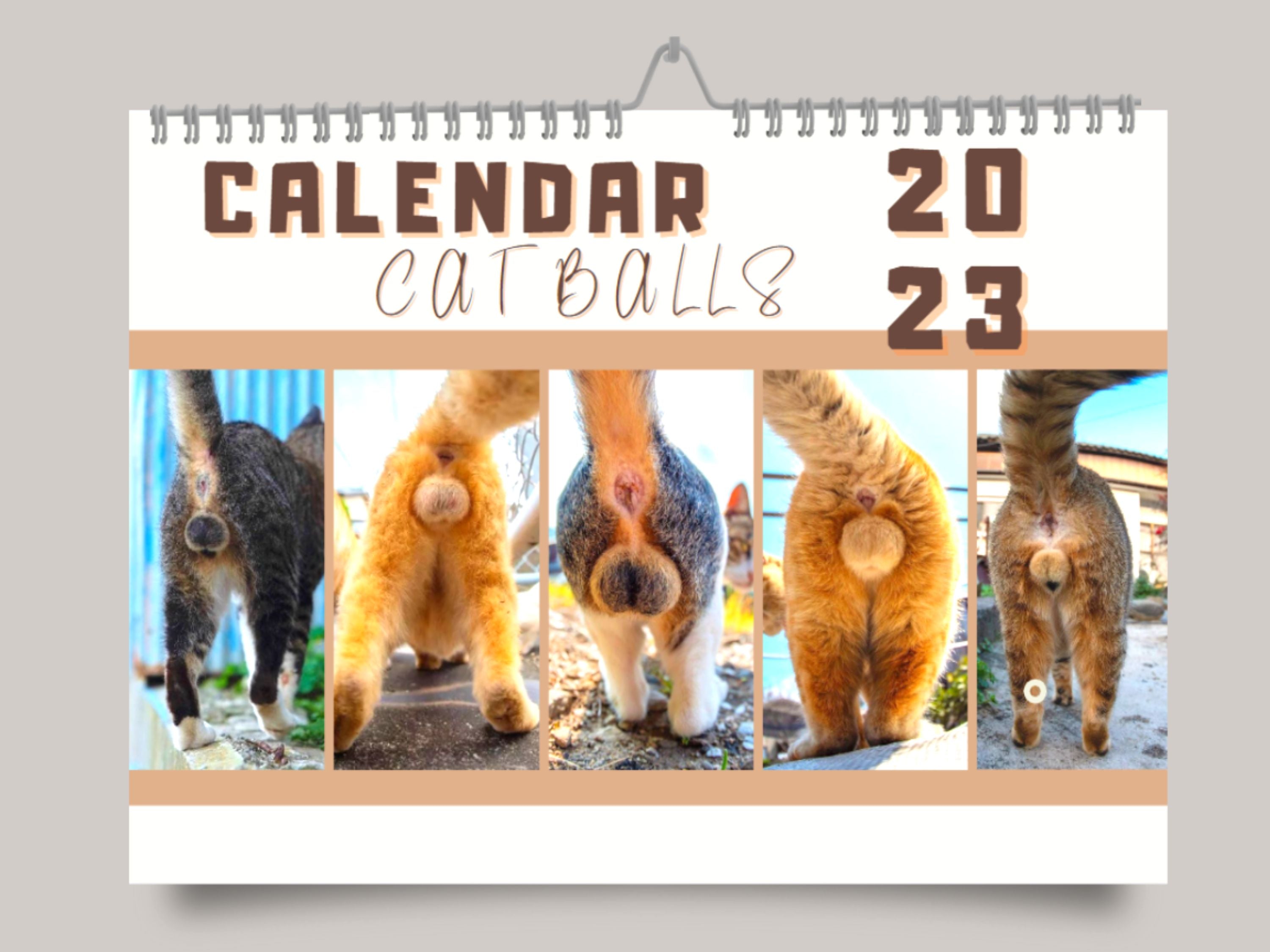 Cats Buttholes Calendar 2023 - Funny gift for a party - Funny gift for bachelorette party